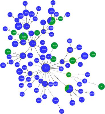 Genotyping and Antibiotic Resistance Traits in Campylobacter jejuni and coli From Pigs and Wild Boars in Italy